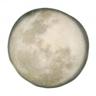 Тарелка круглая мелкая 280мм Selene Porland 18DC28/SE фарфоровая керамика