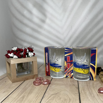 Стаканы ОСЗ Цветы 8222 набор 2х250мл