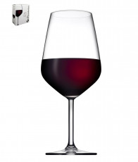 Набір келихів для вина Allegra 490мл 2шт Pasabache 440065(2)